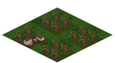 Fruit Plantation